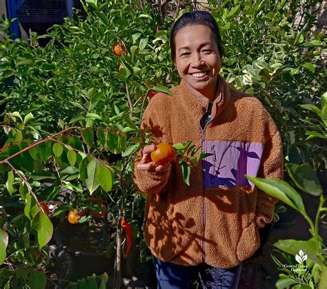 Suburban Yard Meals Forest Phố Phạm Batang Tabon