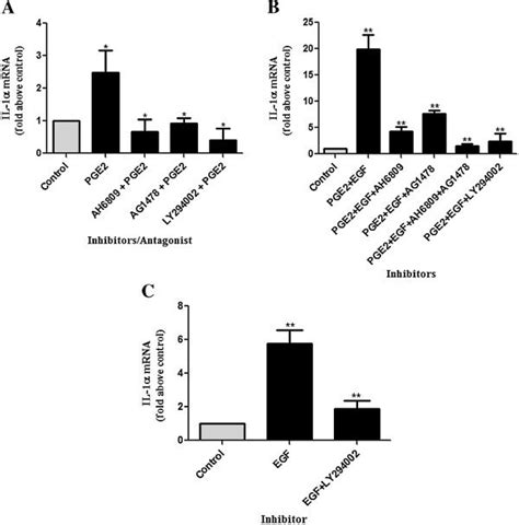 Ep Antagonist And Egfr And Pi Kinase Inhibitors Inhibit Pge Or Pge