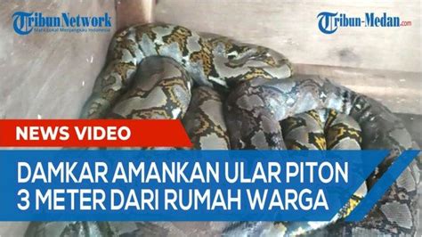 Damkar Tak Hanya Bertugas Memadamkan Kebakaran Ini Penjelasan Kadis