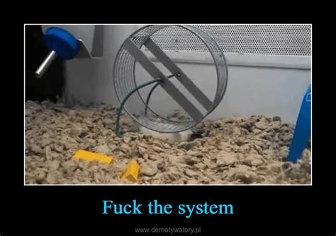 Fuck The System Demotywatory Pl