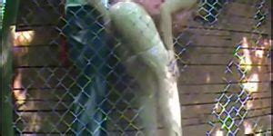 Outdoor Sex 02 Tnaflix