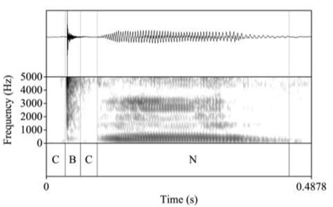 Waveform And Spectrogram Of [ ǂ ʔ ŋ ̩́]̩́] To Think Elicited In Download Scientific Diagram