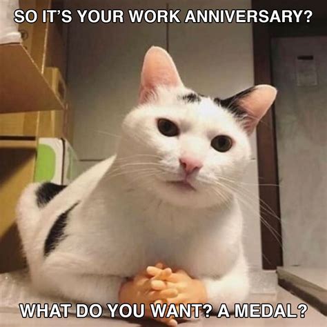 90 Funny Memes And S To Celebrate Work Anniversaries