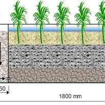 Schematic Diagram Of Subsurface Flow Constructed Wetland F