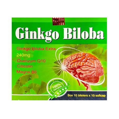 Купить Гинкго Билоба Ginkgo Biloba 240 Mg из Вьетнама с доставкой по всей России