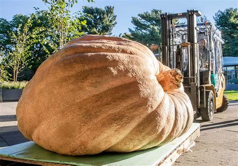 Giant Pumpkin Weekend » New York Botanical Garden