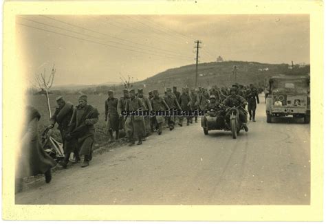 Orig Foto Einheits Pkw 11 Pz Div Wappen Kradmelder Gefangene In Serbien