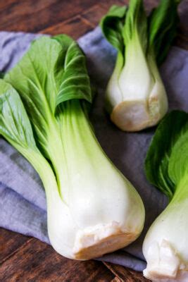 Pak Choi Zubereiten Alle Tipps Und Rezepte