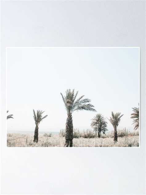 "Palm trees in Israel nature photography" Poster for Sale by ...