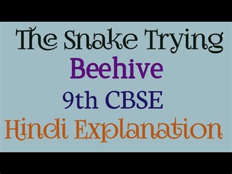 The Snake Trying Class Th Beehive W W E Ross Hindi