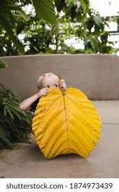 young boy crouched  hiding  stock photo  shutterstock