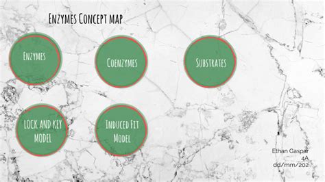 Enzyme Concept Map By Ethan James Gaspar On Prezi