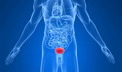 Воспаление мочеполовой системы