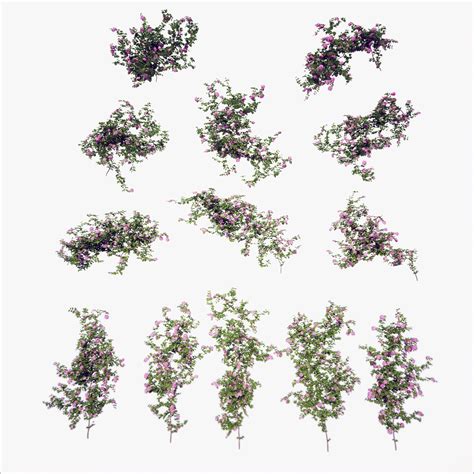 Generic Climbing Blooming Plants 2 3D Model $139 - .max - Free3D