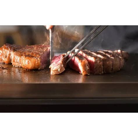 BALMUDA K A BK The Plate Pro Hot Plate Black AC V Step Temperature Control EBay