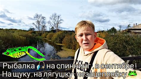 Рыбалка 🎣 на спиннинг , в начале сентября , на щуку , на лягушку ...