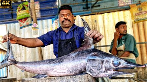 Kasimedu Speed Selvam Huge Panni Kola Fish Cutting Video K Video