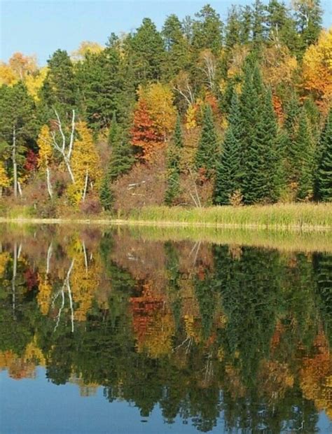 Leech Lake Minnesota Fall Color Guide - Leech Lake Tourism Bureau