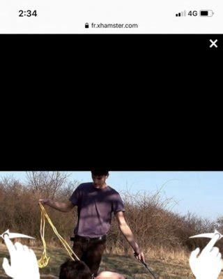 Donkey Porn Pictures XXX Photos Sex Images 3946639 PICTOA