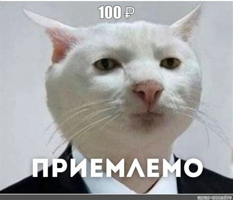 Создать мем кот работник мем серьезный кот мем кот Картинки Meme