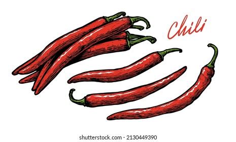 Red Pepper Chilli Vector Set Hot Stock Vector Royalty Free 2237149721 Shutterstock