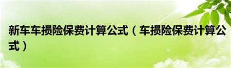 新车车损险保费计算公式车损险保费计算公式 草根科学网