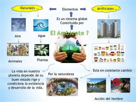 Describa Que Son Ambientes Naturales Y Artificiales Brainly Lat