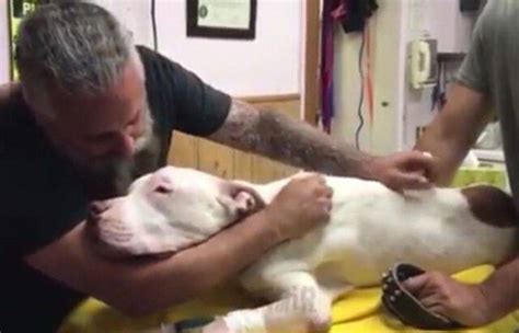 Deve Sopprimere Il Cane L Ultimo Saluto Dopo Anni Insieme Video