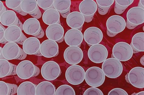 ᐉ 13 Mejores Vasos De Plásticos Desechables Opiniones