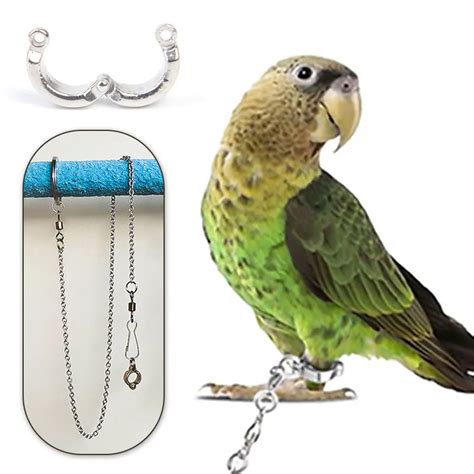 Parrot Leg Ring Ankle Foot Chain Bird Ring Outdoor Flying Training