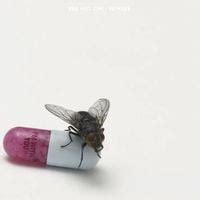 Red Hot Chili Peppers Albums Songs Discography Album Of The Year
