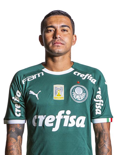 An Lise Individual Destaques Positivos E Negativos Do Palmeiras No