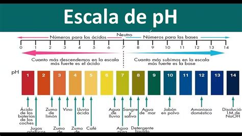 Escala De Ph Con Fotos