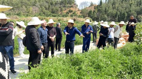 龙岩市开展高素质农民培训跟踪服务活动 中国福建三农网