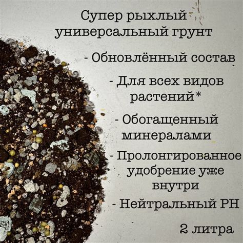 Универсальный грунт для комнатных растений 2 ЛИТРА - купить по низкой ...