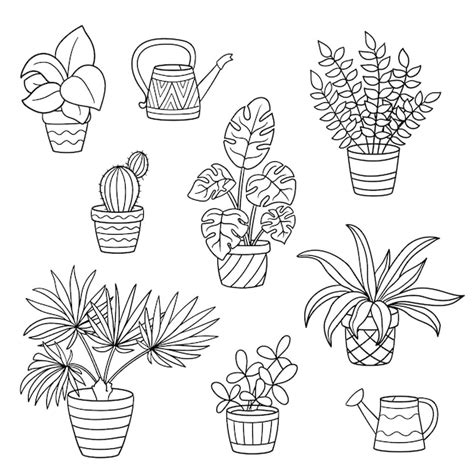 Desenho De Conjunto Plantas De Casa Em Vasos Para Colorir Vetor