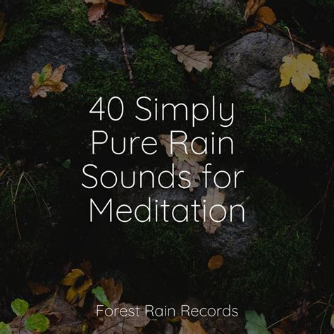 Simply Pure Rain Sounds For Meditation Album By Soothing Baby