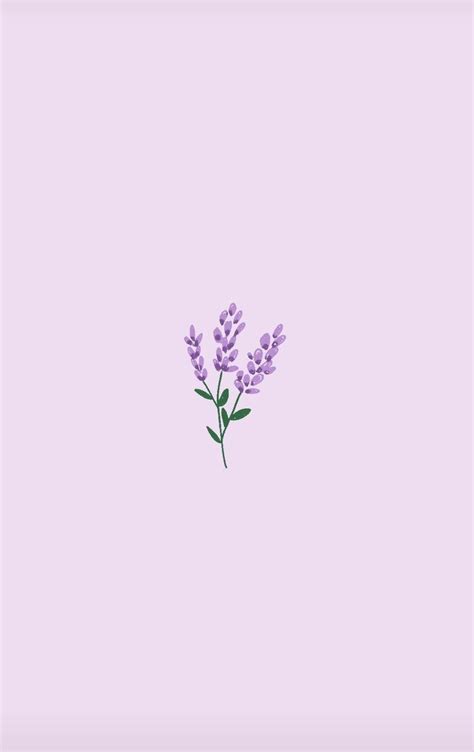 Minimalist Lavender Flowers Wallpapers - Top Free Minimalist Lavender ...