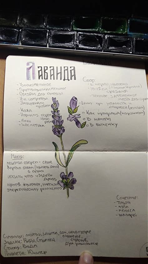 Травник | Ботанические принты, Журнал о природе, Трава