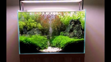 How To Build An Aquascaped 60cm Planted Tank Youtube