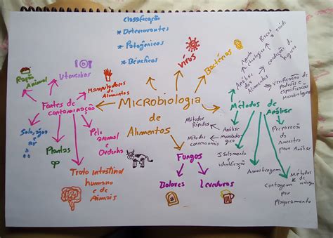 Mapa Mental Microbiologia De Alimentos Microbiologia De Alimentos Em