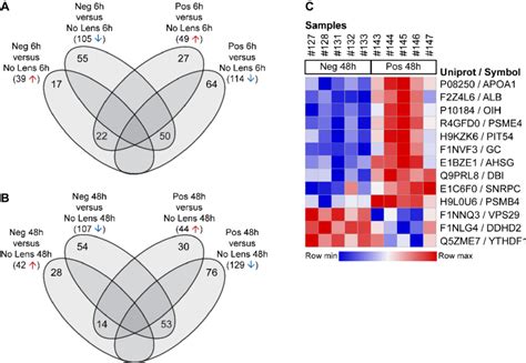 Protein Abundance Changes Across Lens Groups At And H Venn