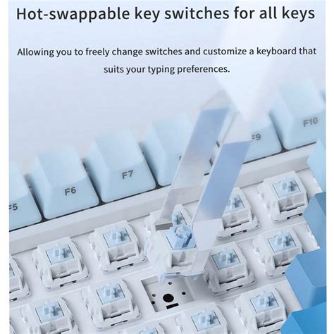 Nacodex Tri Mode Mechanical Keyboard Wireless Hot Swappable Gaming Special Gasket Structure