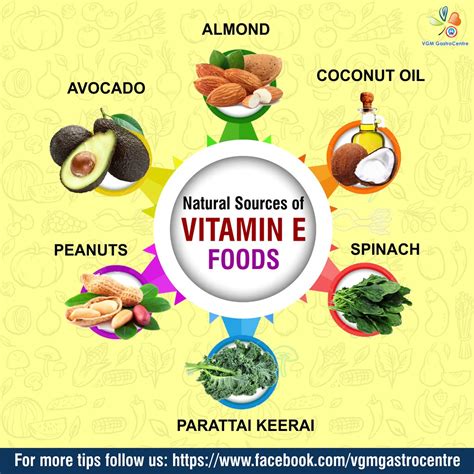 Vitamin E Sources