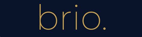 BRIO - Enjoy Today