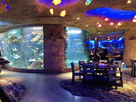 Aquarium Restaurant Nashville Tennessee Let's Go To Aquarium