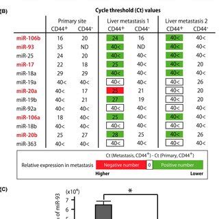 Forced Expression Of WASF3 Abrogated MicroRNA MiR 93induced