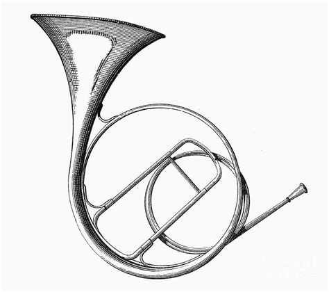 French Horn Drawing at GetDrawings | Free download