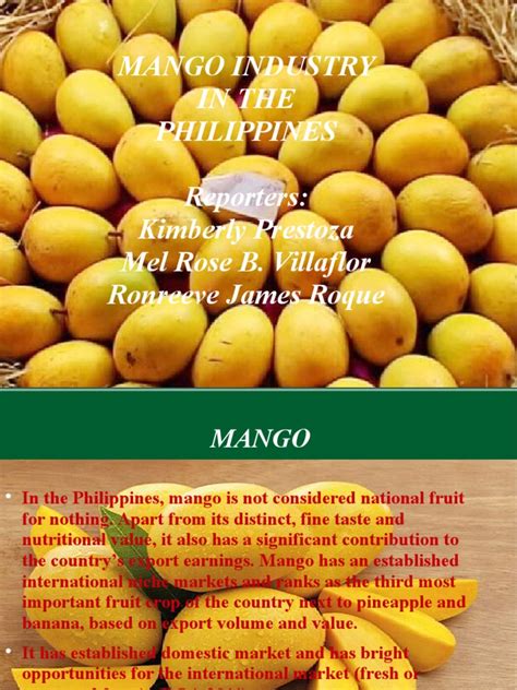 Mango production | Mango | Philippines