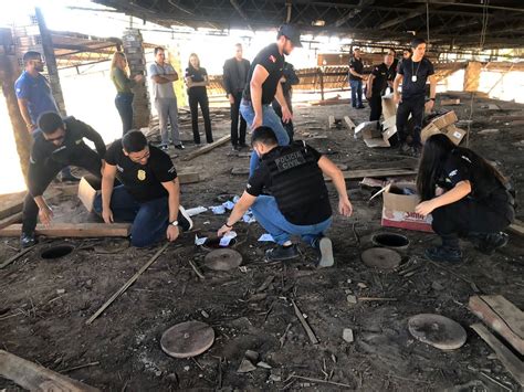 Mais de 200 kg de drogas são destruídos pela polícia em Itaituba no PA